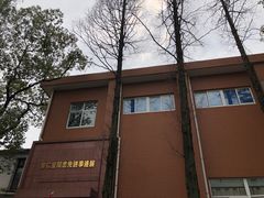 -华西村