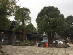 -韩湘水博园
