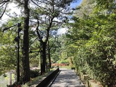 -庐山风景区花径公园