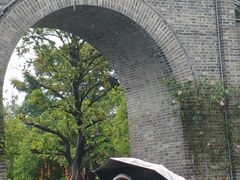-花溪公园