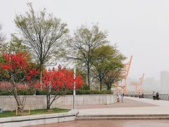 -龙美术馆(西岸馆)