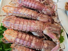 -大连湾旭日·家宴·海肠捞饭(马栏广场店)