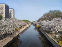 -海棠花溪(元大都城垣遗址公园)