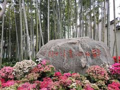 -上海醉白池公园