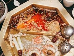 -蜀九香火锅(彩虹店)