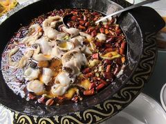 -金三可市井水煮鱼(金碧园店)