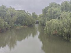 -同里国家湿地公园