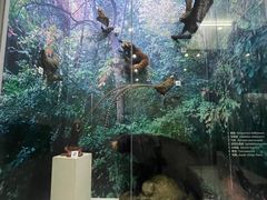 -国家自然博物馆