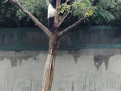 -石家庄市动物园