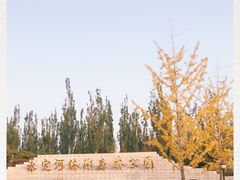 -永定河休闲森林公园