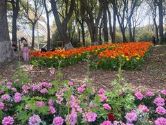 -上海鲜花港