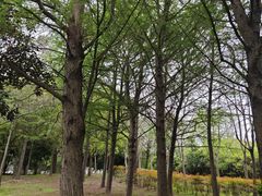 -同里国家湿地公园