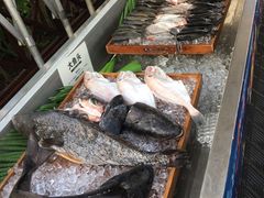 -渔家火锅·海鲜自助餐·演艺(亚龙湾天域酒店)