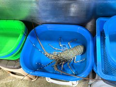 -班赞海鲜市场