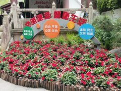 -上海醉白池公园