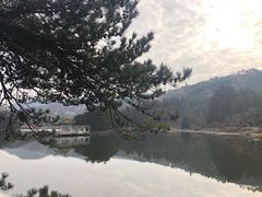 -庐山风景区花径公园