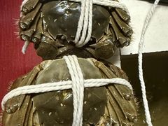-小陆莲花蟹园农家乐(莲花岛店)