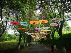 -祥源·阜阳生态乐园