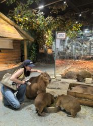 -Zoolung Zoolung动物主题公园(海信广场店)