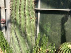 -华南国家植物园-售票处