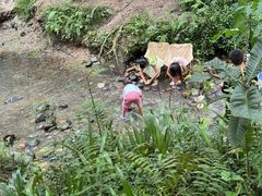 -桤木河湿地公园