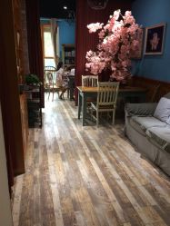 -星豆豆儿童摄影(南郊太白南路店)