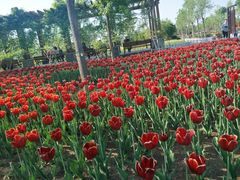 -梨木台悦来客农家院