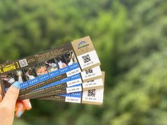 -将军关探险漂流