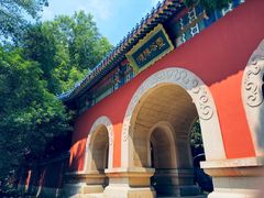 -灵谷景区