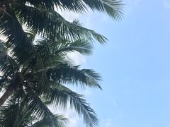 -万绿园