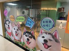 -Husky Go! 哈士奇体验馆·宠物咖啡厅狗咖