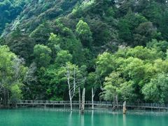 -叠溪松坪沟景区