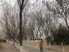 -天津滨海圣光皇冠假日酒店