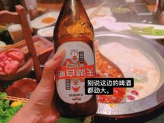 -宽巷子成都火锅(南站店)