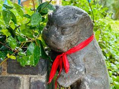 -龙华素斋(龙华路店)