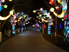 景点-金城公园