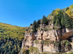 -芦芽山旅游度假区