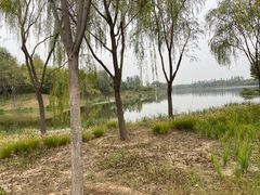 -东郊湿地公园