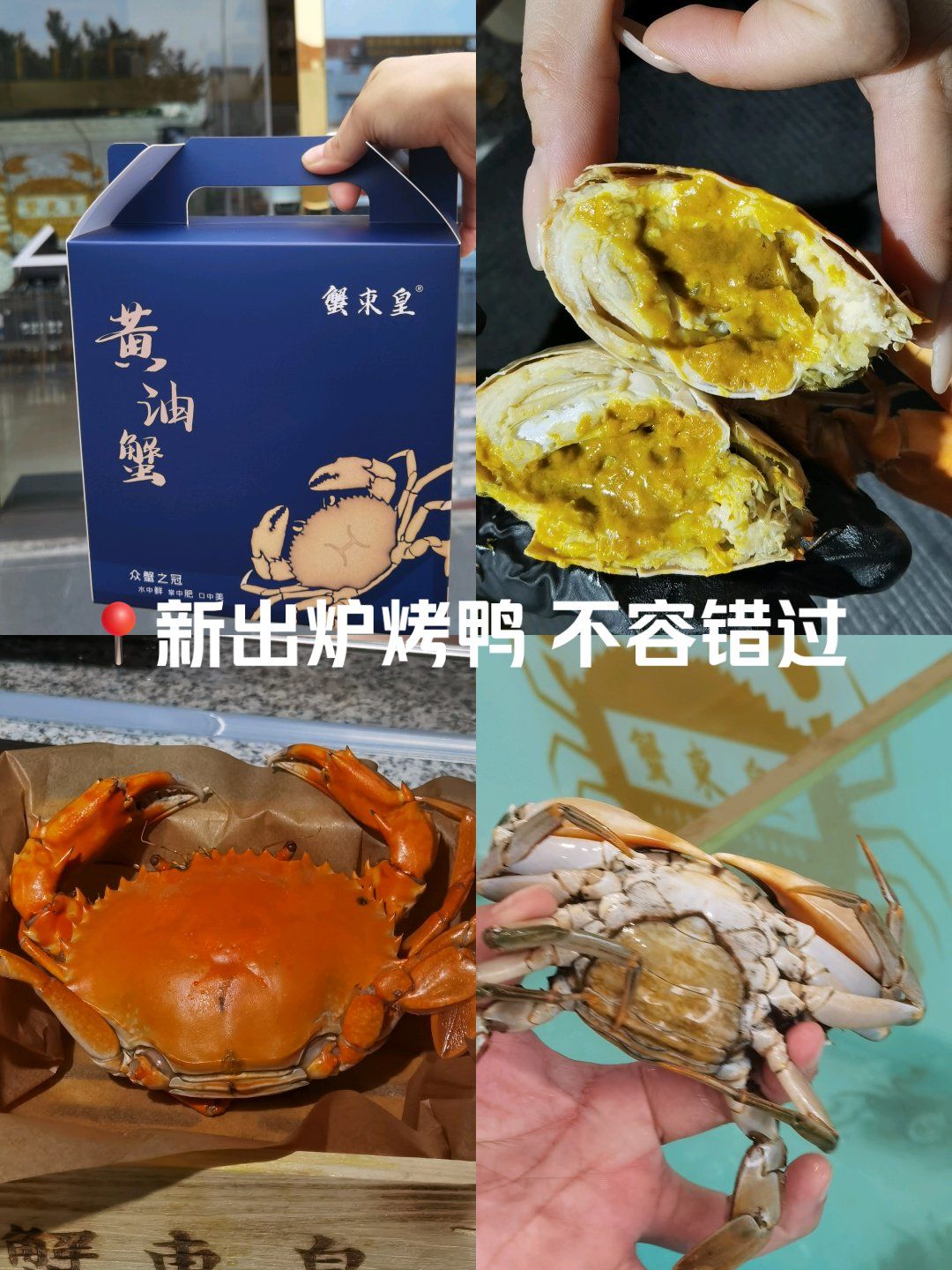 黄油大闸蟹