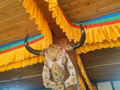 -银同牦牛肉火锅