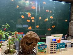 -九尊食上(生态园林酒店)