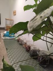 -思怡瑜伽·普拉提·减脂塑形