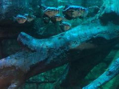 -沈阳海洋探索中心