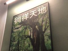 -芸山季·云南野生菌火锅(南翔印象城MEGA店)