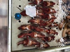 -南沙十九涌渔人码头-南门