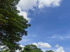 -深圳湾公园(南山区)