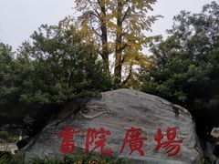 -开封府