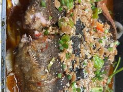 -青青河边草·小小河边鱼(万达广场太仓店)