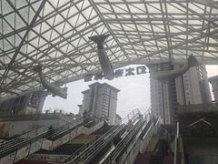 -太奥幻太奇海洋馆