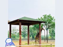 -石家庄市动物园